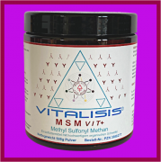MSM VIT+ 500g