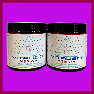 MSM VIT+ 1000g